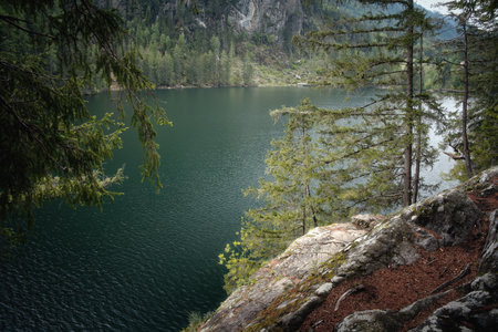 Rocky shore of a mountain lake with turquoise water and pine trees growing on it. Nature reserves in Tirol, Austriaの写真素材