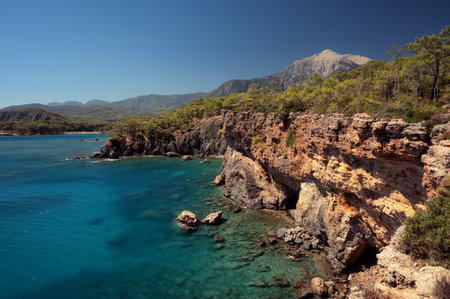 View of the beautiful tree-covered cliffs meeting the clear turquoise water of the Mediterranean Sea near Phaselis, Kemer. A sunny, scenic summer coast of the Turkish Riviera.の写真素材