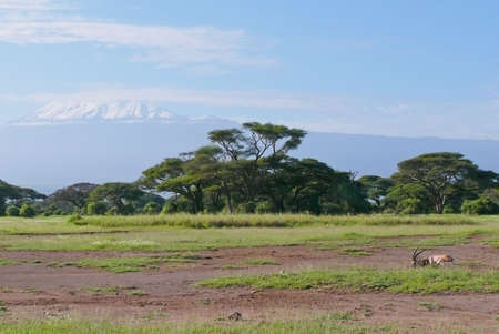 Landscape with snow covered peak of Kilimanjaro in Kenyaの写真素材