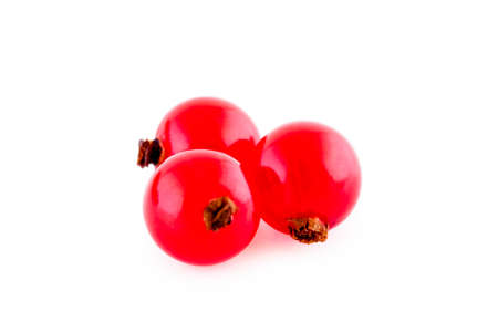 Three red currants isolated on white, studio closeupの写真素材
