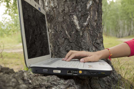A girl works on a computer on the nature  