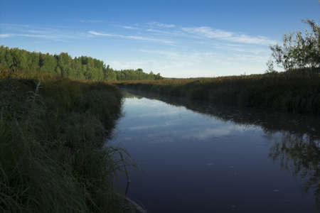 Forest River