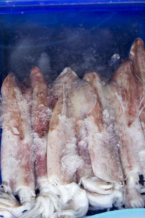 - Exotic food and drinks in South-East Asia.の写真素材