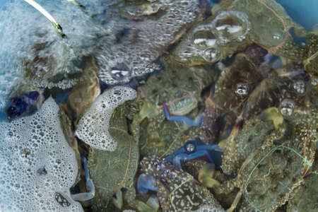 - Exotic food and drinks in South-East Asia.の写真素材