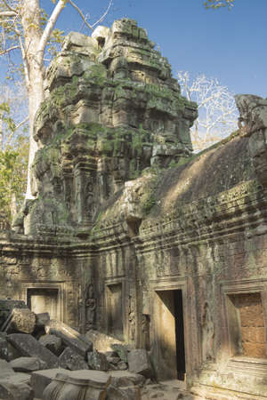 The temple of Ta Prohm. He has gained popularity due to the fact that its territory filmed scenes...