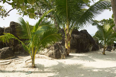 The beach at the hotel Amariの写真素材