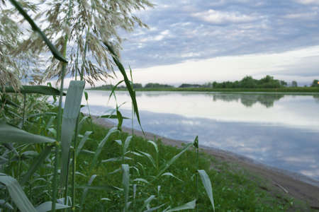 Forest River in anticipation of the summer dawnの写真素材