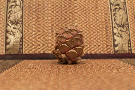 bump from the cedar on a straw background.