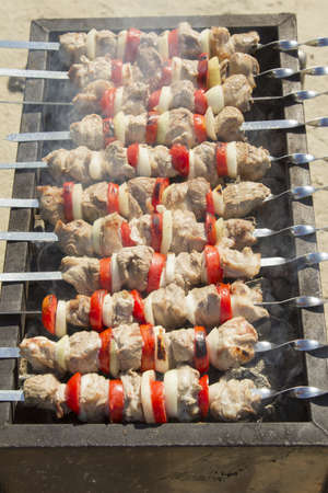 Pork with onions and tomatoes on the banks of the river.の写真素材