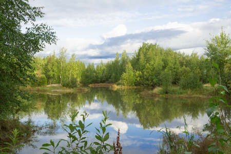 A walk on a summer morning in the forest lake.