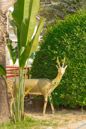 Cambodia. South-East Asia. The natural scenery. Flowers and Plants.の写真素材