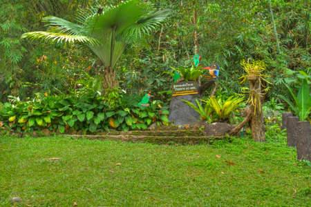 Cambodia. South-East Asia. The natural scenery. Flowers and Plants.のeditorial素材