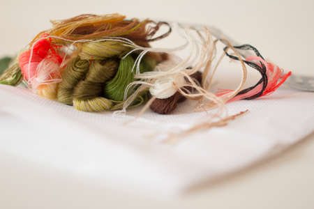 Still-life on a white background with a blurred background