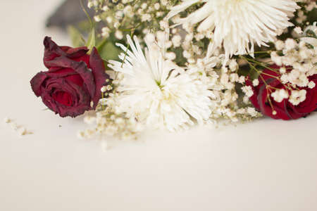 Still-life on a white background with a blurred backgroundの写真素材