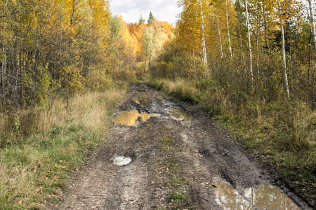 Autumn sketches and landscapes, nature of Siberia, near the city of Tobolskの写真素材