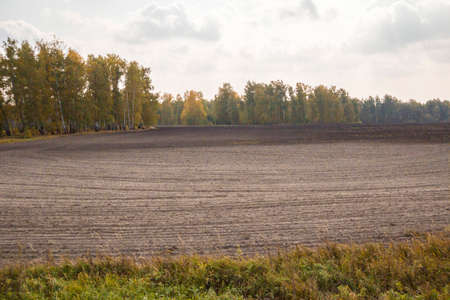 Field in the vicinity of the city of Chelyabinsk.の写真素材