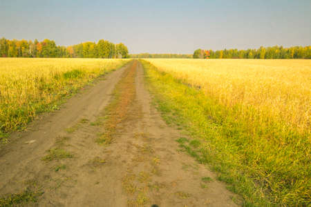 Field in the vicinity of the city of Chelyabinsk.の写真素材
