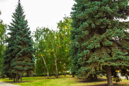 Attractions landscapes and architectural monuments of the city of Chelyabinsk.の写真素材