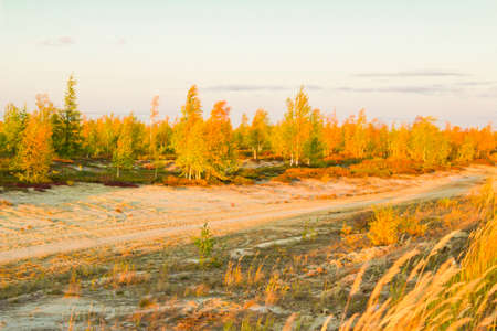 Two days in the far north and surroundings Nadymの写真素材