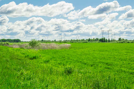 Summer landscape in the midst of the Siberian summerの写真素材