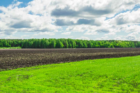Summer landscape in the midst of the Siberian summerの写真素材