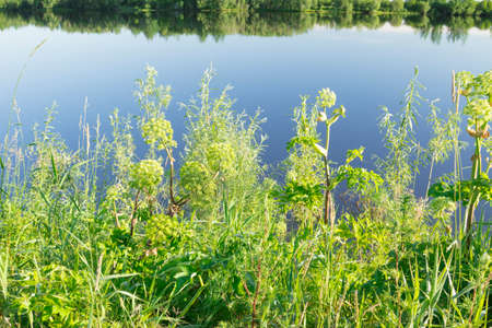Morning on the Lake. Morning on ozere.Tishina.Polneyshy shti. Rises beautifully solntse.Ochenの写真素材