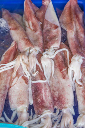 Exotic food, drinks and seafood Southeast Asia.の写真素材