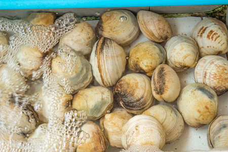 Exotic food, drinks and seafood Southeast Asia.