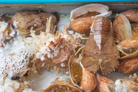 Exotic food, drinks and seafood Southeast Asia.の写真素材