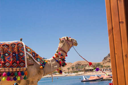 Travel, the month of May, Egypt Red Sea views