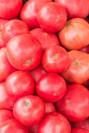 A bunch of fresh, pink tomatoes for saleの写真素材