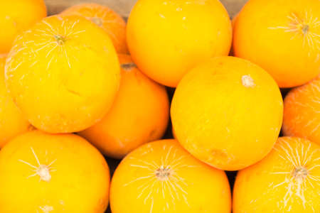 Ripe melons dwarf put up for saleの写真素材