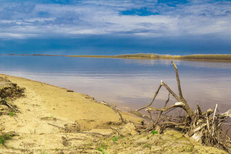 On the banks of the river in early spring