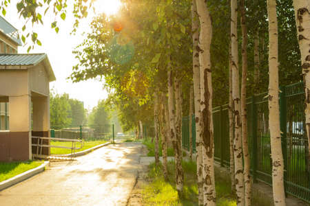 Walking through the city square in the rays of the setting sunの写真素材