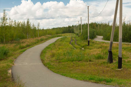 Equipped paved jogging track in the forest park