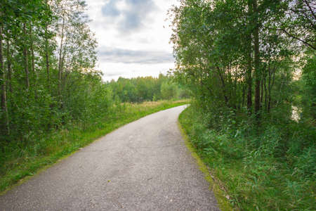 Equipped paved jogging track in the forest park