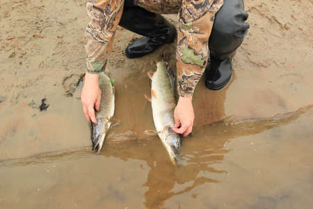 Fisherman holding two big pike on the Riverの写真素材