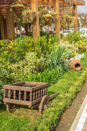 Walking through the autumn city park. Autumn painted the trees and grass with colored paintsの写真素材