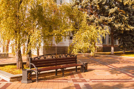 Walking through the autumn city park. Autumn painted the trees and grass with colored paintsの写真素材