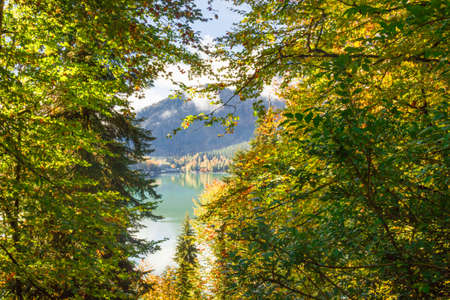 Autumn sketches Lake Riza. The Republic of Abkhazia travel month of October