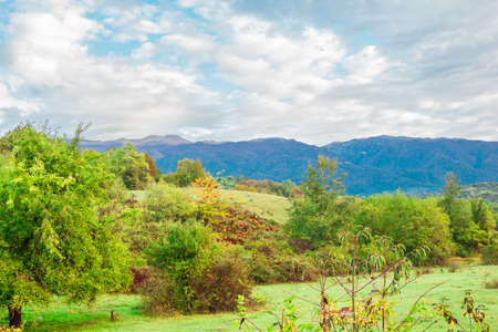 Autumn sketches and natural scenery. Abkhazia October
