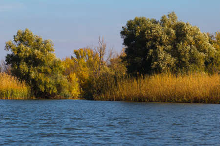 Natural landscape of the Volga river inflowの写真素材