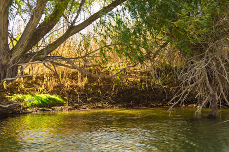 Natural landscape of the Volga river inflowの写真素材