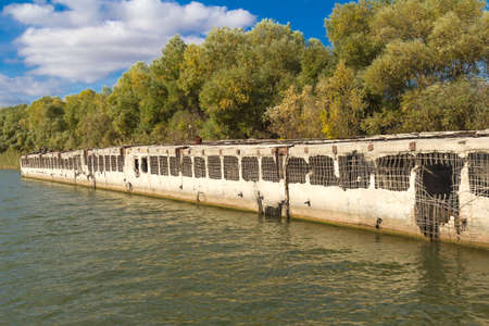 River Landscape of the river Volga,  from the stern of the boat motorの写真素材