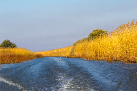 River Landscape of the river Volga,  from the stern of the boat motorの写真素材