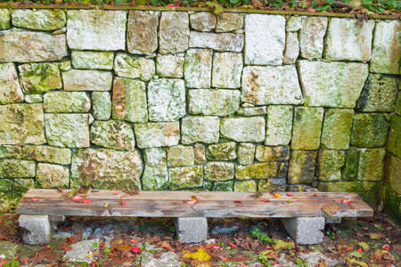 Travel Republic of Abkhazia  Ancient wall built of hewn stone covered with moldの写真素材