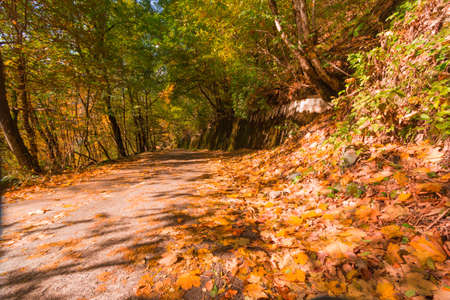 Mountain landscape on a background of blue sky autumn day