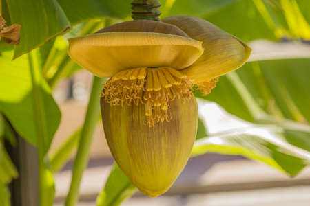 Travel Republic of Abkhazia Autumn sketches and natural scenery.の写真素材