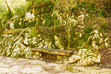 Travel Republic of Abkhazia Autumn sketches and natural scenery.の写真素材
