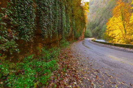 Travel Republic of Abkhazia The mountain river flows near mountain road carved into the rockの写真素材